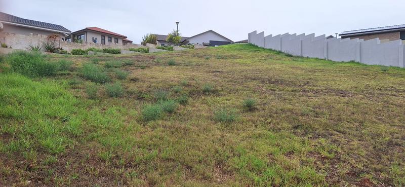 0 Bedroom Property for Sale in Monte Christo Western Cape
